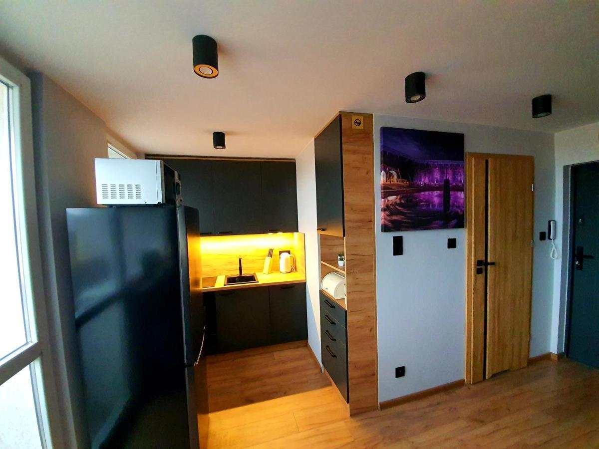 Apartament Przy Alei Kopernika イノブロツワフ エクステリア 写真