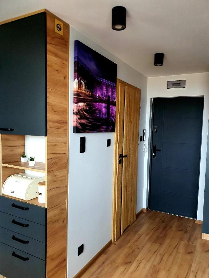 Apartament Przy Alei Kopernika イノブロツワフ エクステリア 写真