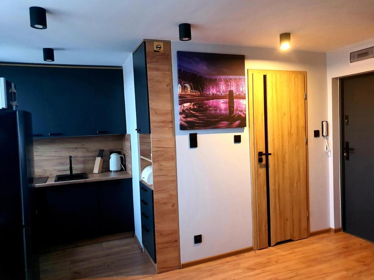 Apartament Przy Alei Kopernika イノブロツワフ エクステリア 写真