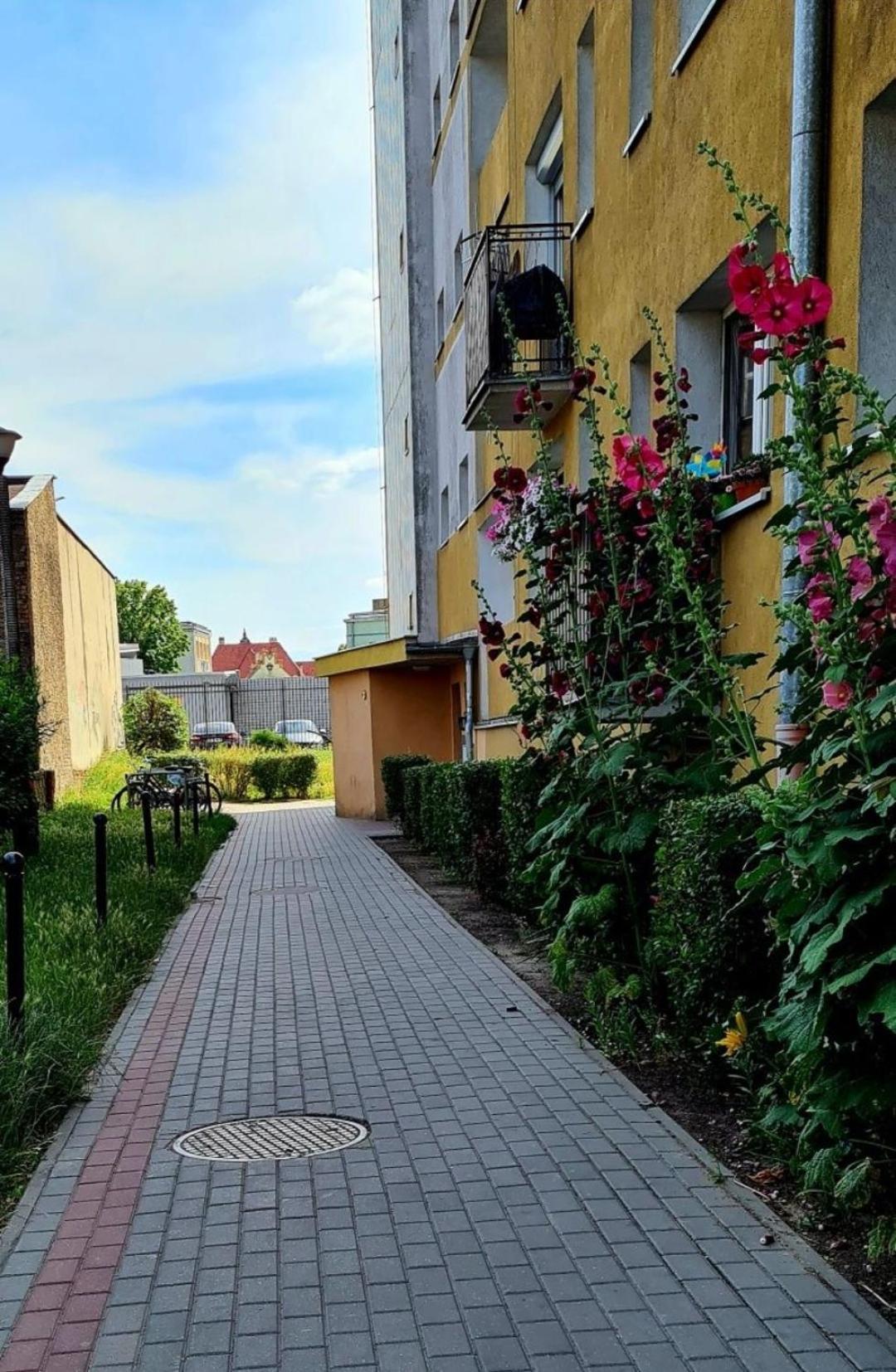 Apartament Przy Alei Kopernika イノブロツワフ エクステリア 写真